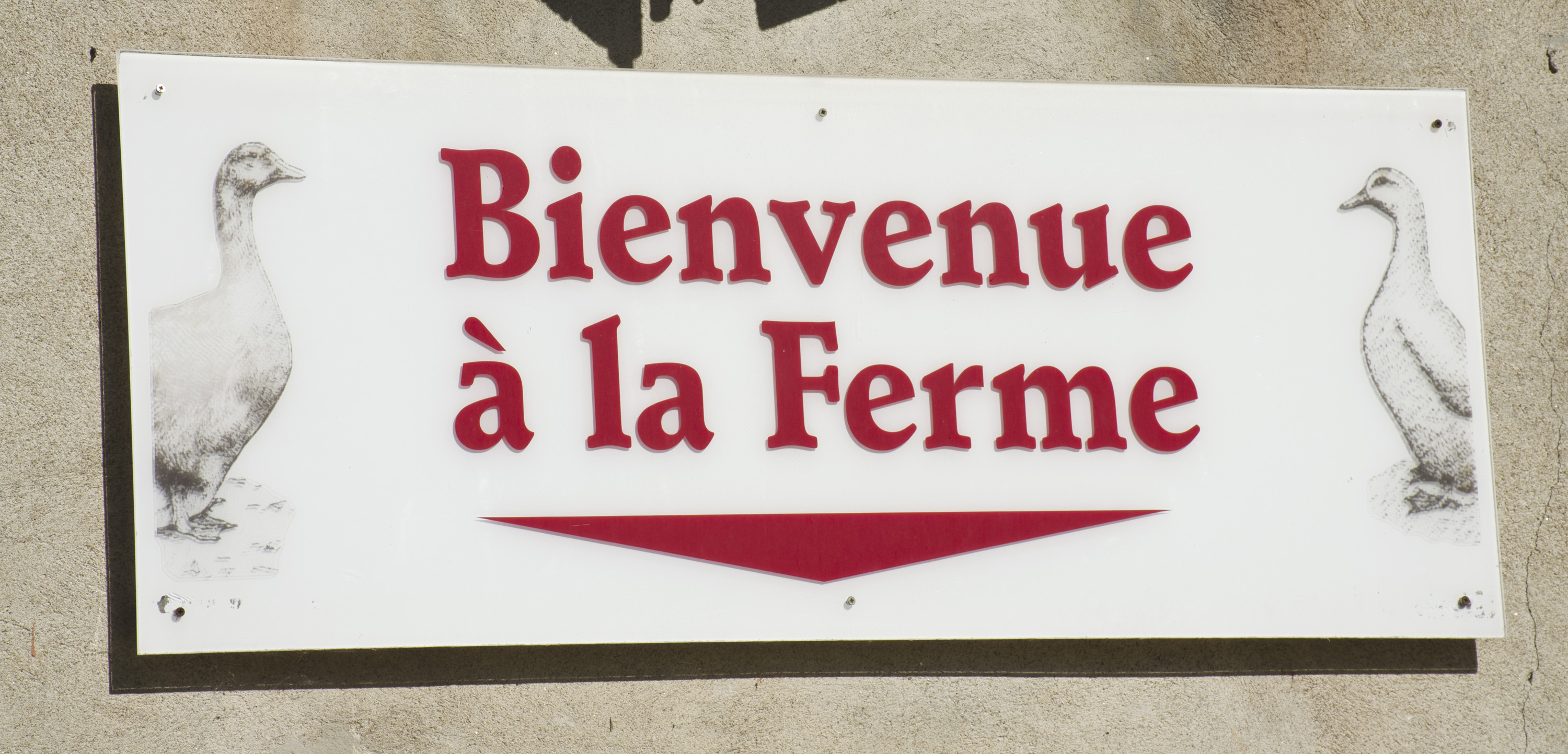 Recherche  Salarié (e)